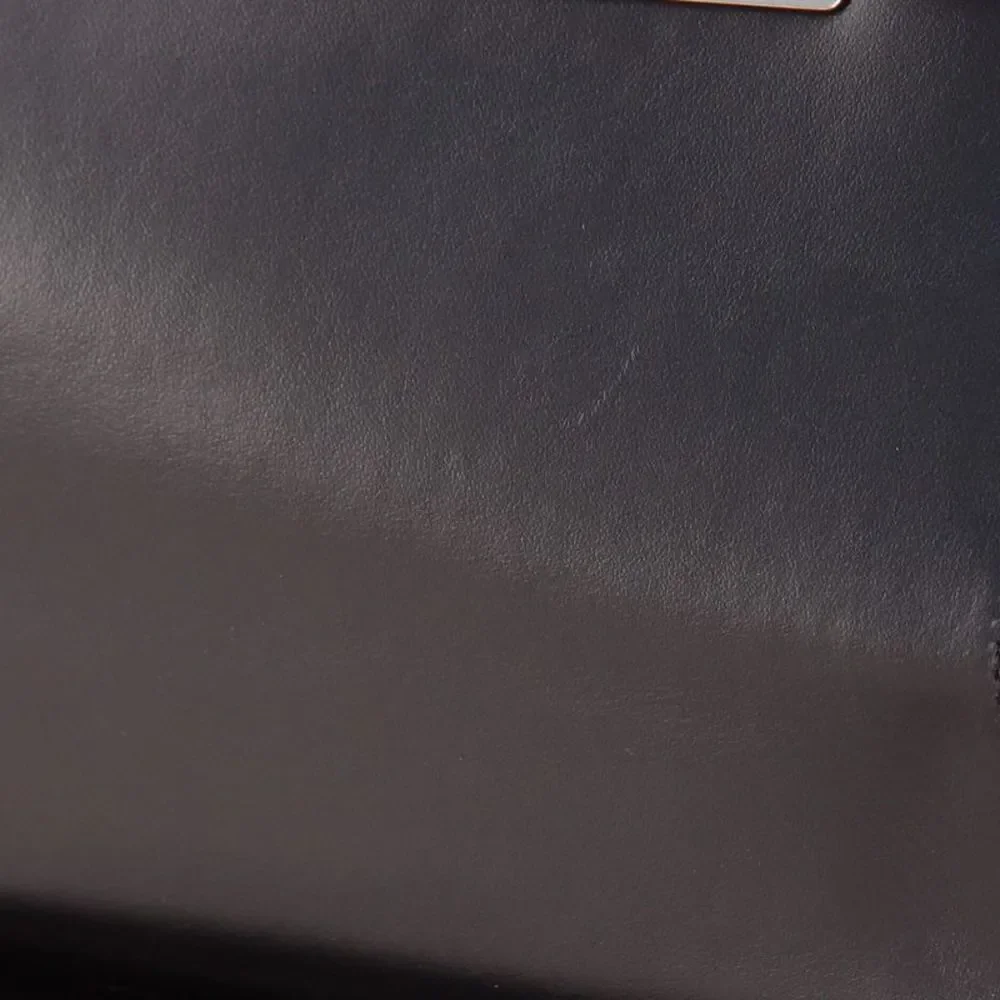 Prada Severine Chain Shoulder Bag Printed Leather Black, Print, Multicolor - Picture 9 of 10